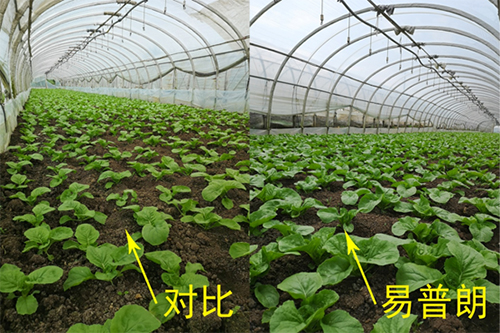 1705634034579834.jpg 5.jpg