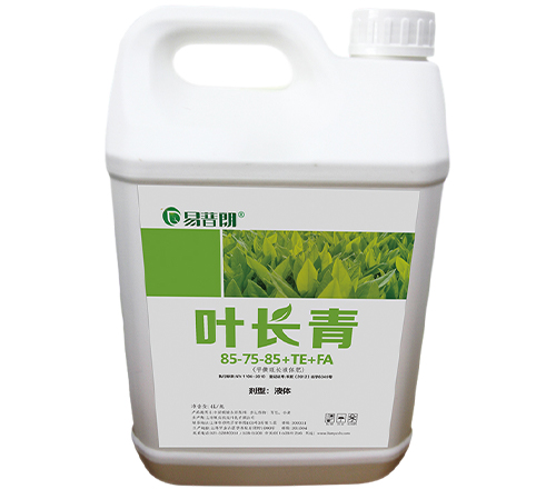 叶长青4L