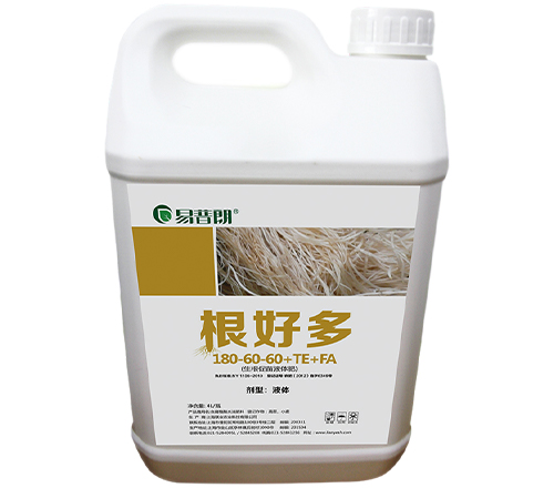 根好多4L