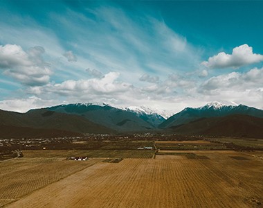 专家分析：2011年中国农资行业将跨入特大年