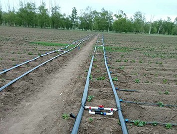 多伦县旱作农业项目