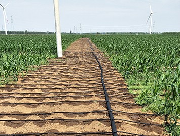 黑山县农业技术推广中心智能水肥一体化项目
