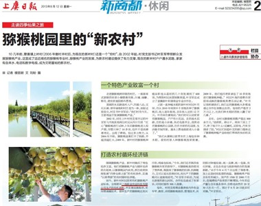 猕猴桃园里的“新农村”