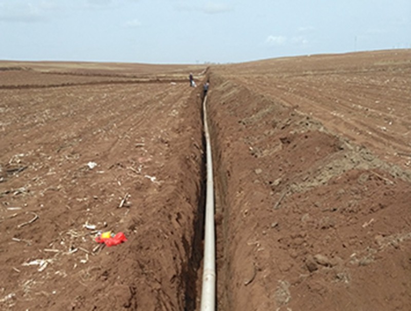 武川县农牧业局2016年旱作农业推广项目