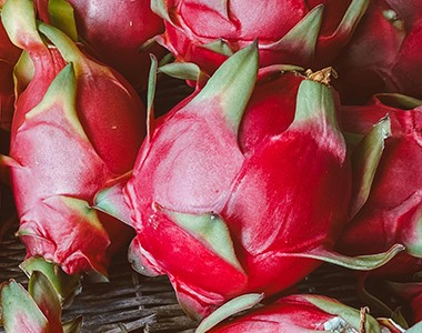 火龙果种植技术的要点