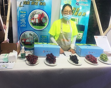 “曹杨·梧桐市集”暨2021年“缤纷有线”纳凉晚会