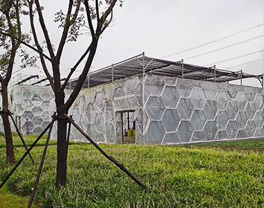 张国勤董事长带队参观、考察青浦区章堰科技农业园