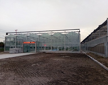 江苏东台南沈灶果蔬椒乡现代农业园区水肥一体化项目中标