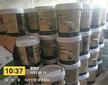 西红柿的种植方法和管理技术