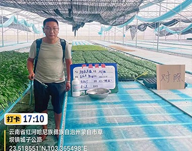 多肽氨基酸的实验