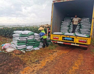 葡萄福利——“谷霖”生物有机肥