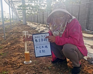 阳光玫瑰种植技术与管理