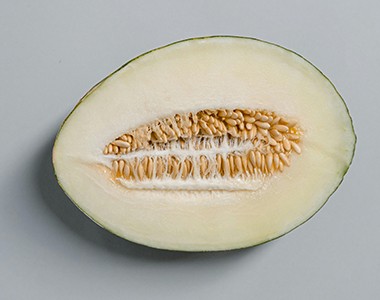 绿宝甜瓜种植管理技术