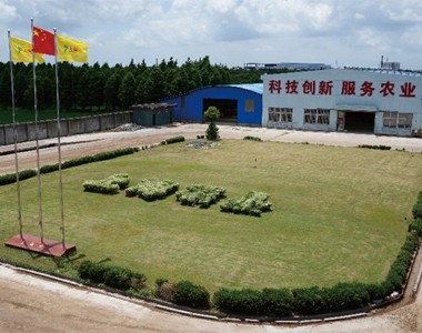 八角丝瓜种植技术