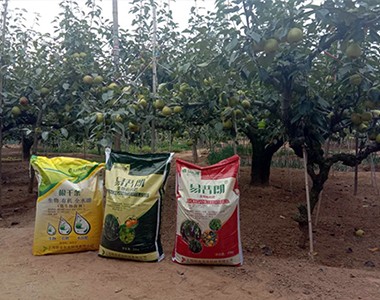 上海联业旗下瑶果网络上线了