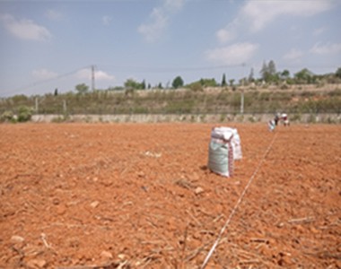 助力春耕，绿色种植