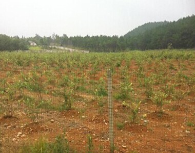 上海联业在怀宁县开展水肥一体化推广活动