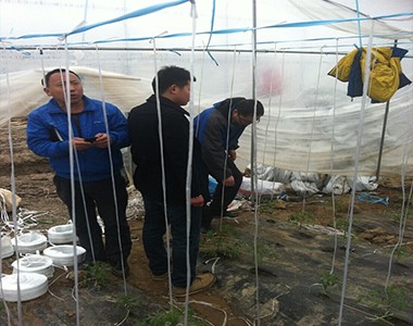 上海联业在安徽省庐江县开展水肥一体化技术的推广