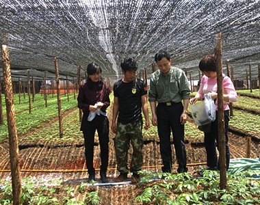 农业微生物检验检测中心首席科学家杨博士考察云南三七