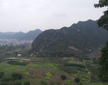 广西南宁创新示范基地