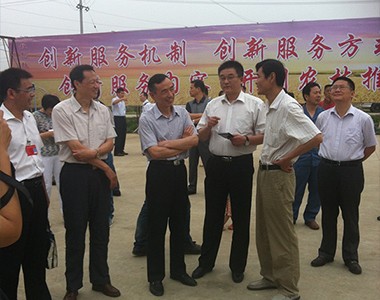 上海联业在泗县开展玉米水肥一体化推广活动