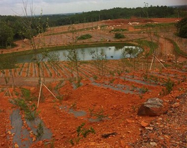 上海联业在安庆蓝莓基地推广水肥一体化技术