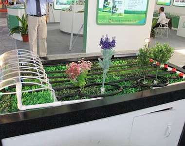 公司参加广西第十三届全国肥料信息交流暨产品交易会(三)