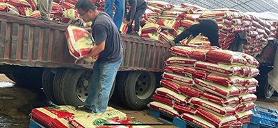顶着烈日为各大合作社送去易普朗生物有机肥